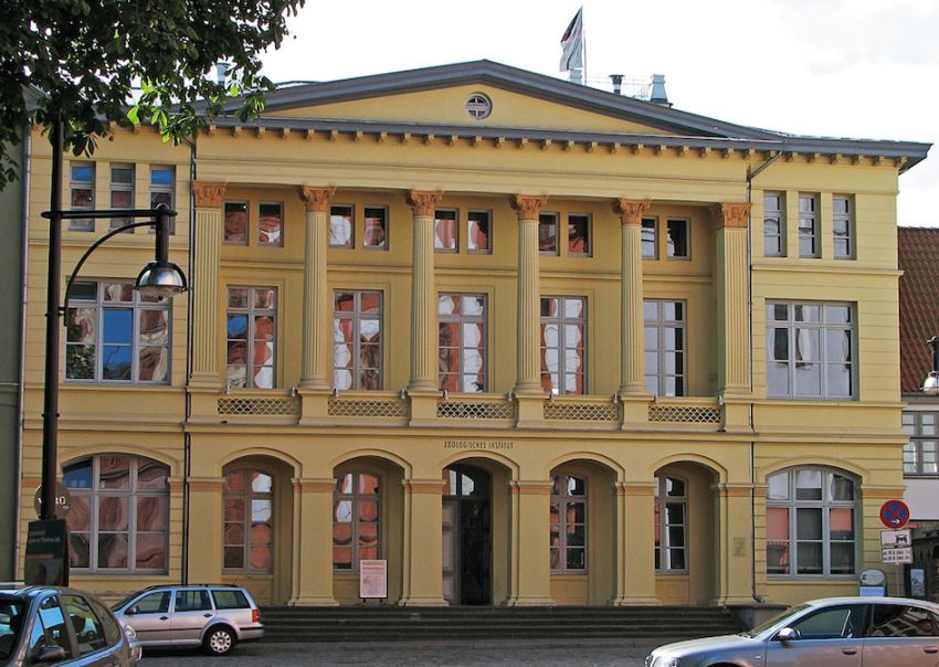 Zoologische Sammlung Rostock